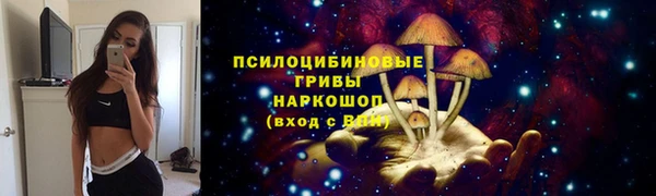 прущая мука Арсеньев