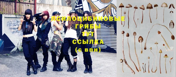 мдпв Армянск