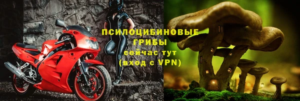 прущая мука Арсеньев