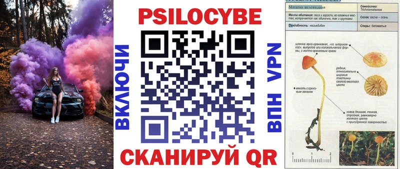 Галлюциногенные грибы Cubensis Гороховец